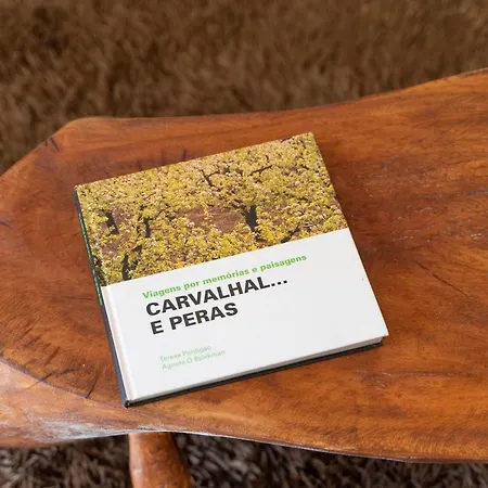 Сasa de vacaciones Casa São José